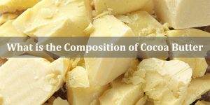 What is the Composition of Cocoa Butter