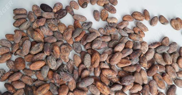 Cocoa Processing Steps 7 Steps Cocoa Machinery Cocoa Processing Steps 7 Steps Cocoa Machinery