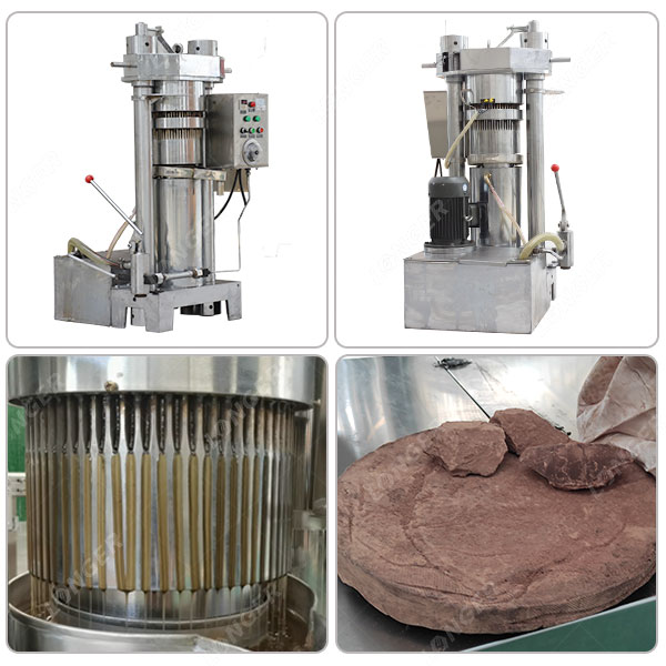 Cocoa Bean Oil Extraction Machine Industrial
