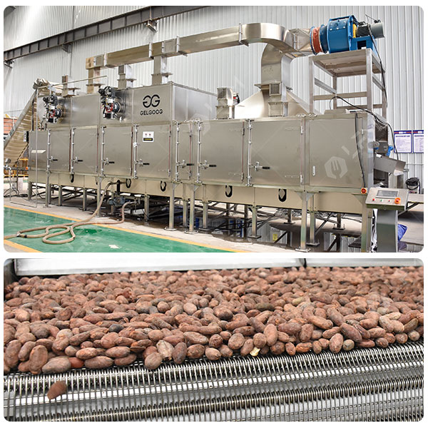 500 kg/h Cocoa Roasting Equipment
