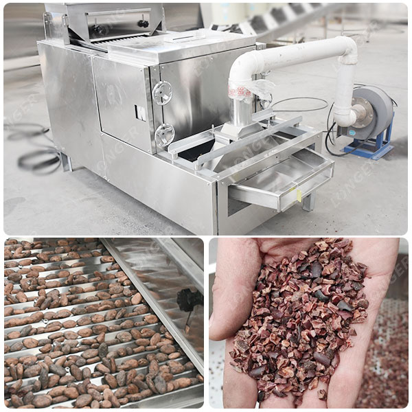 Cocoa Bean Winnower Machine for Sale