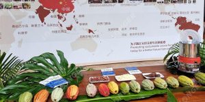 China Enters Cocoa Bean Production