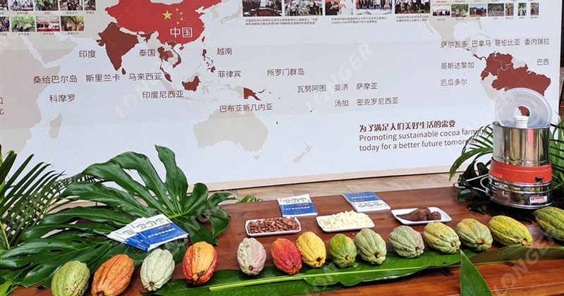China Enters Cocoa Bean Production