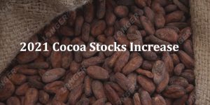 2021 Cocoa Stocks Increase