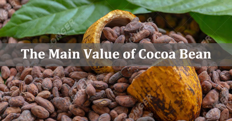 The Main Value of Cocoa Bean