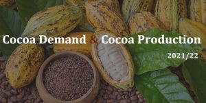 Cocoa Demand and Production in 2021/22