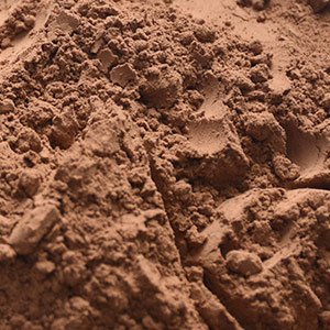 Alkalized Cocoa Powder