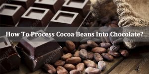 How To Process Cocoa Beans Into Chocolate?