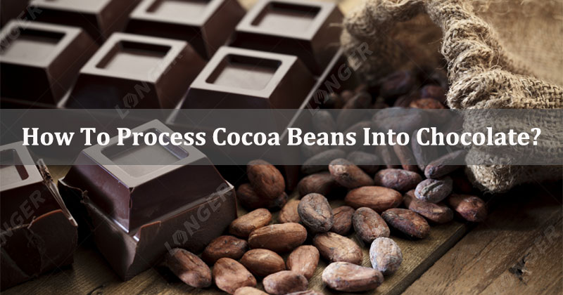 How To Process Cocoa Beans Into Chocolate?