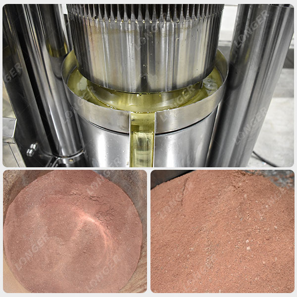 Latest Cocoa Butter and Cocoa Powder Processing Plant