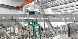 The Cost of Establishing a Cocoa Processing Factory