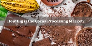 How Big is the Cocoa Processing Market