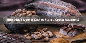 How Much Does It Cost to Start a Cocoa Business?