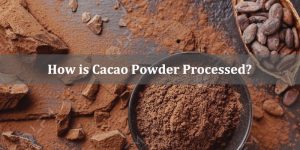 How is Cacao Powder Processed?