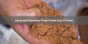 Projek Koko Dan Coklat Dari Cote D'ivoire