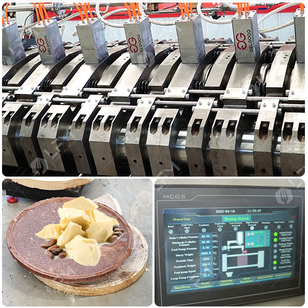 Máquina extractora automática de manteca de cacao