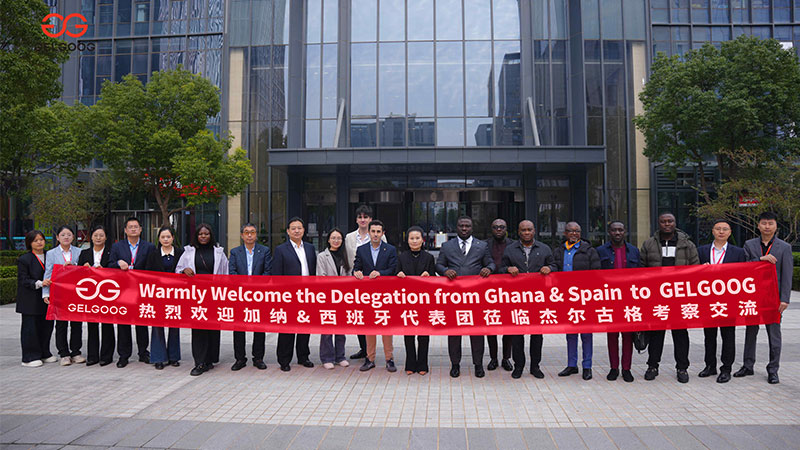 Ghanaian and Spanish government delegations