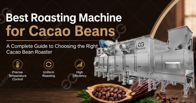 What Is the Best Roasting Machine for Cacao Beans