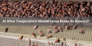 At What Temperature Should Cocoa Beans Be Roasted?