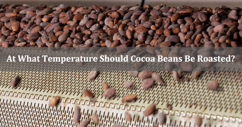 At What Temperature Should Cocoa Beans Be Roasted?
