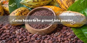 Cocoa beans to be ground into powder