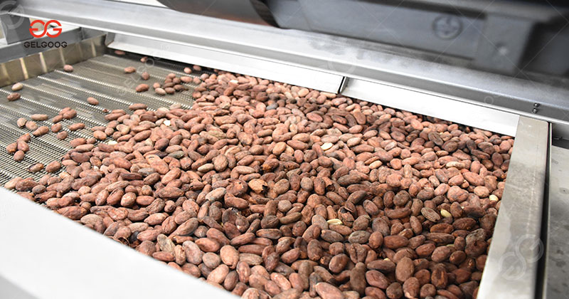 Industrial Cocoa Roasting Machine