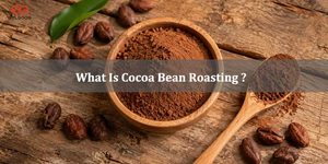 What Is Cocoa Bean Roasting
