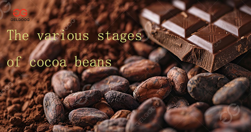 cacao grinder machine