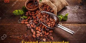 Ground-cocoa-powder